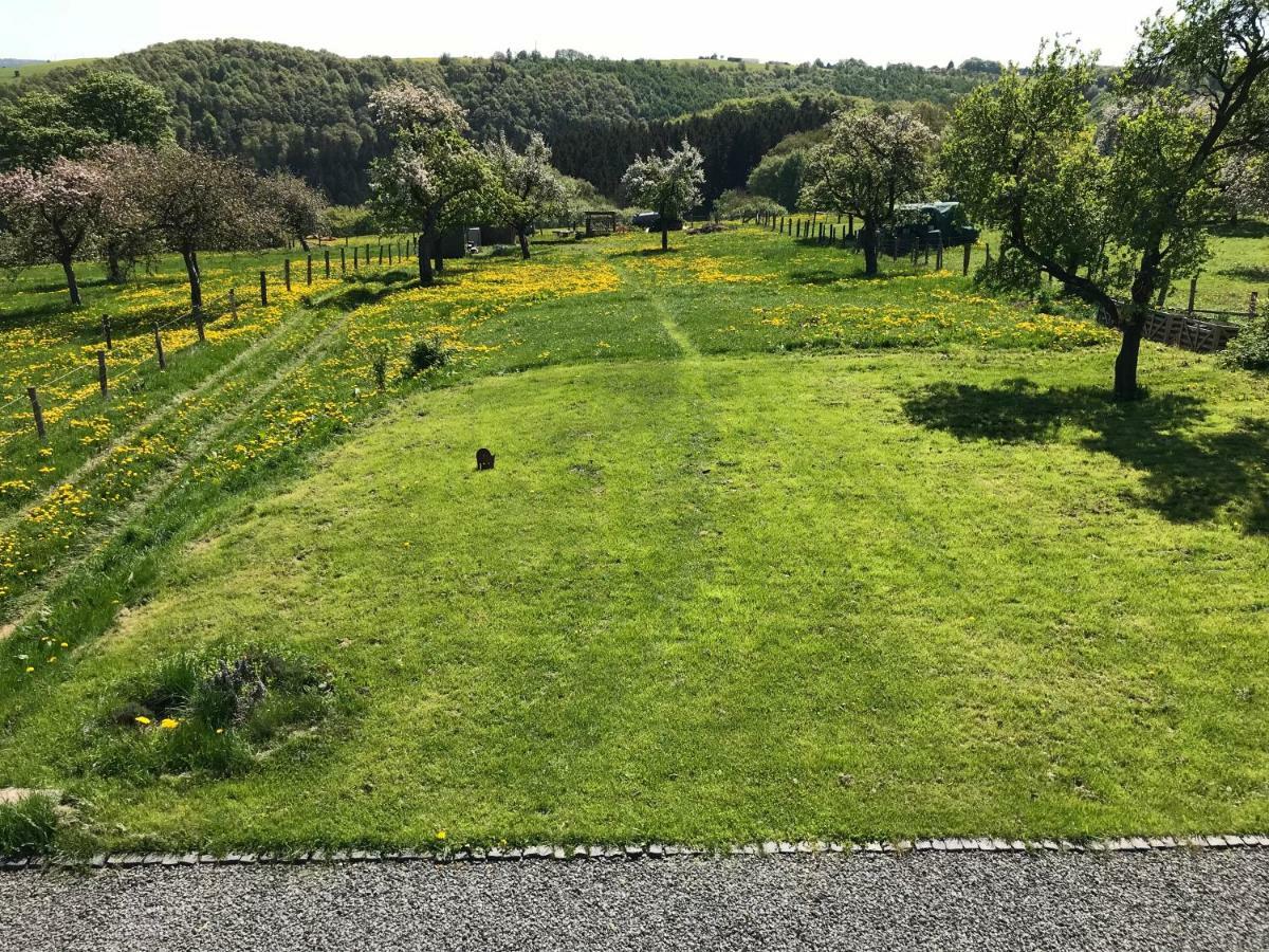 Ferienhaus Am Nationalpark Morsbach  Dış mekan fotoğraf